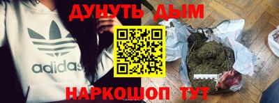 тгк Новозыбков