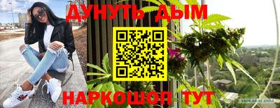 прущие грибы Новодвинск