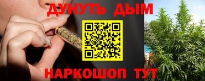 тгк Новозыбков